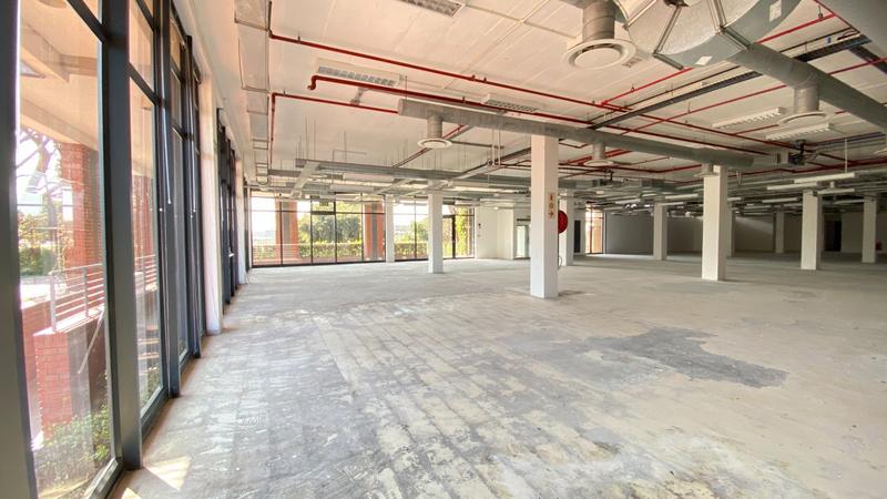 To Let commercial Property for Rent in Observatory Western Cape